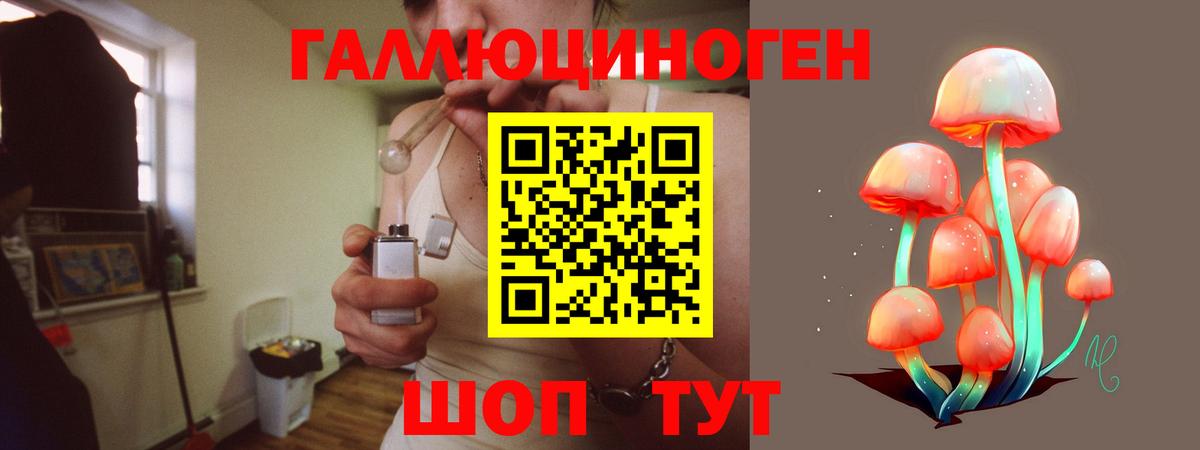 Киржач  Галлюциногенные грибы MAGIC MUSHROOMS  Вход с VPN  Галлюциногенные грибы Cubensis 